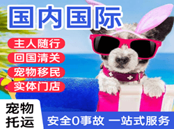 大庆萨尔图航空快运国际宠物托运 【国